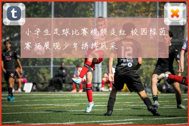 小学生足球比赛视频走红 校园绿茵赛场展现少年拼搏风采