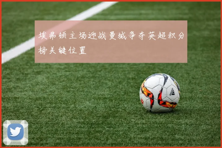 埃弗顿主场迎战曼城争夺英超积分榜关键位置