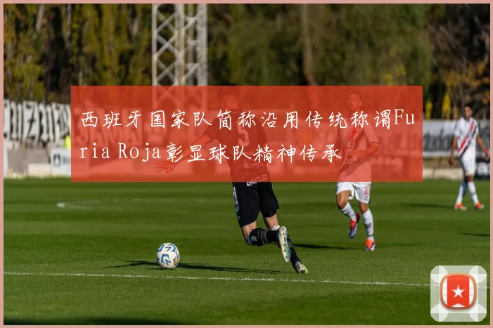 西班牙国家队简称沿用传统称谓Furia Roja彰显球队精神传承