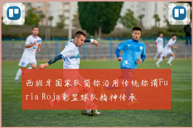 西班牙国家队简称沿用传统称谓Furia Roja彰显球队精神传承