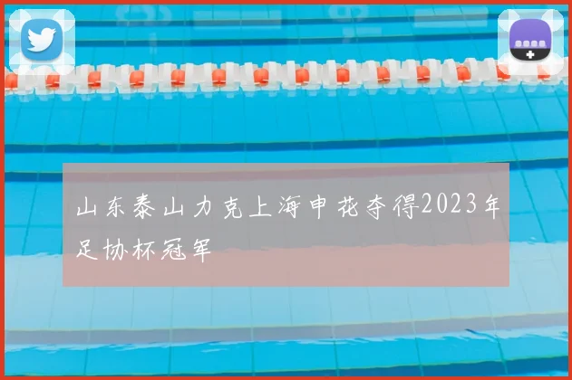 山东泰山力克上海申花夺得2023年足协杯冠军