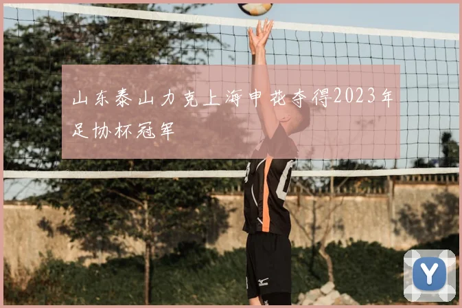 山东泰山力克上海申花夺得2023年足协杯冠军