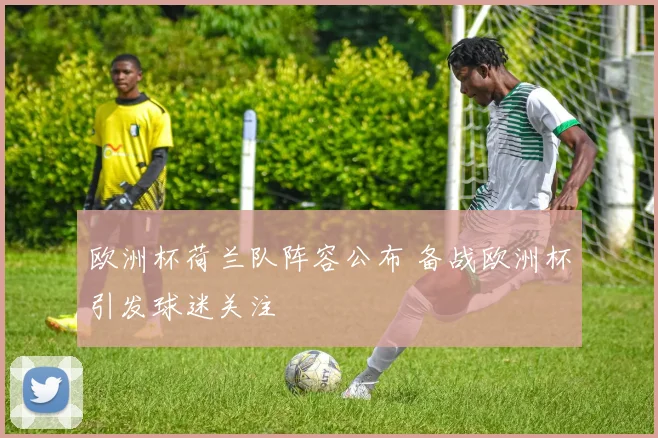 欧洲杯荷兰队阵容公布 备战欧洲杯引发球迷关注